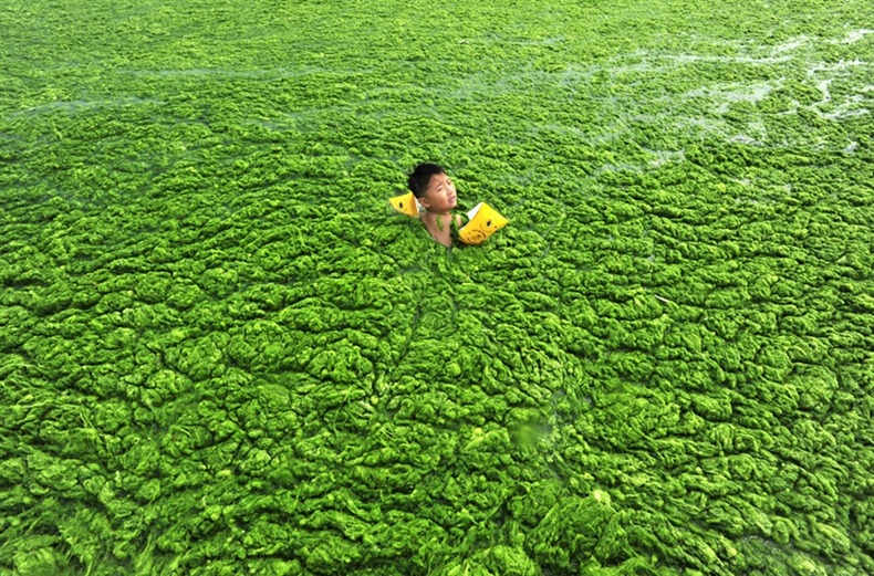 Swimming in the Green Water