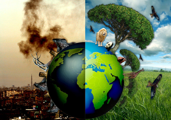 Mana Yang Lebih Ramah Lingkungan?