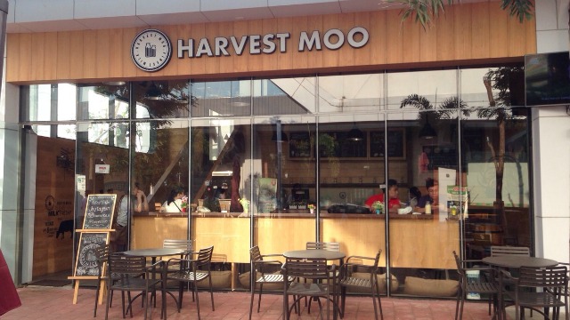 Harvest Moo: Your Finest Milk Experience