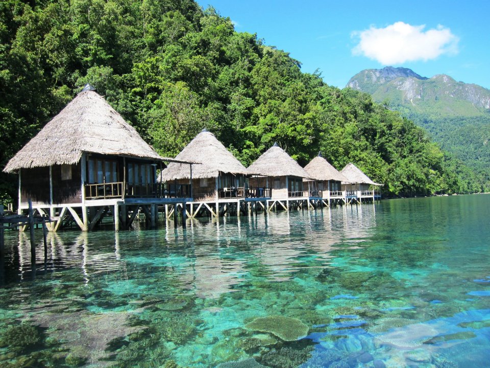 Koteka : Bertualang ke Maluku!
