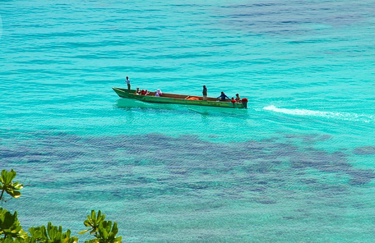 Teluk Triton: Pesona keindahan alam laut Papua