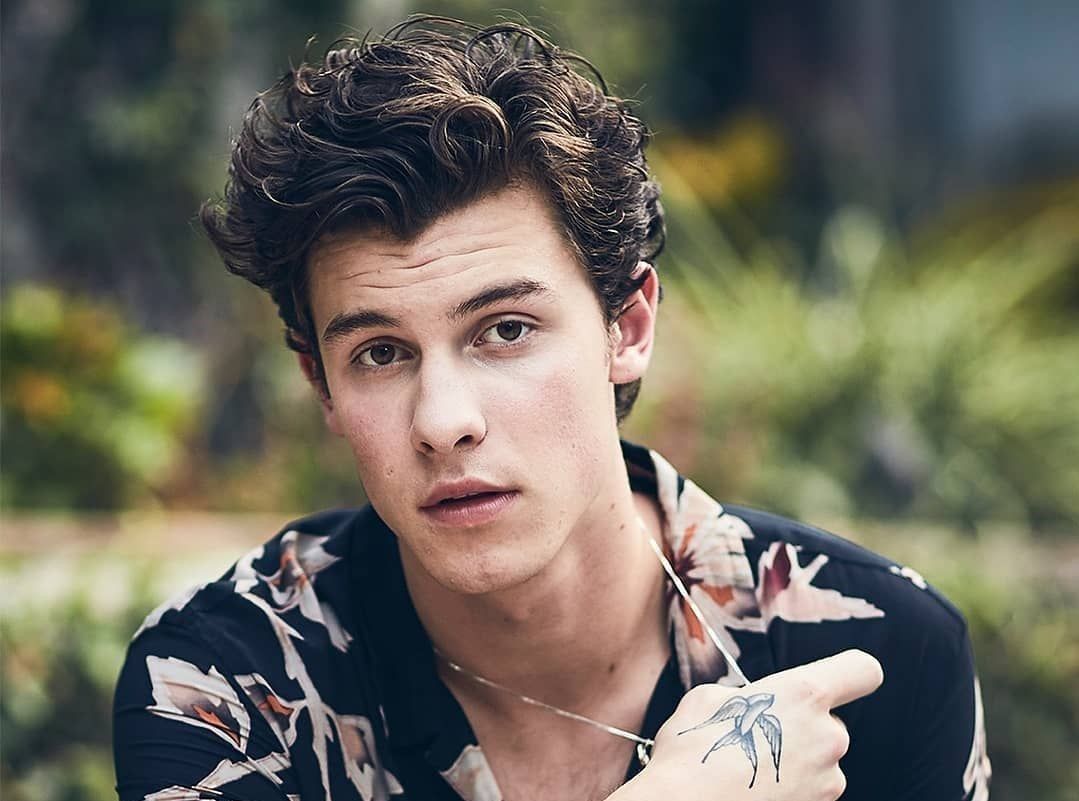 Waduh! Shawn Mendes Batalin Sisa Tur Konser Gara-Gara Kesehatan Mental